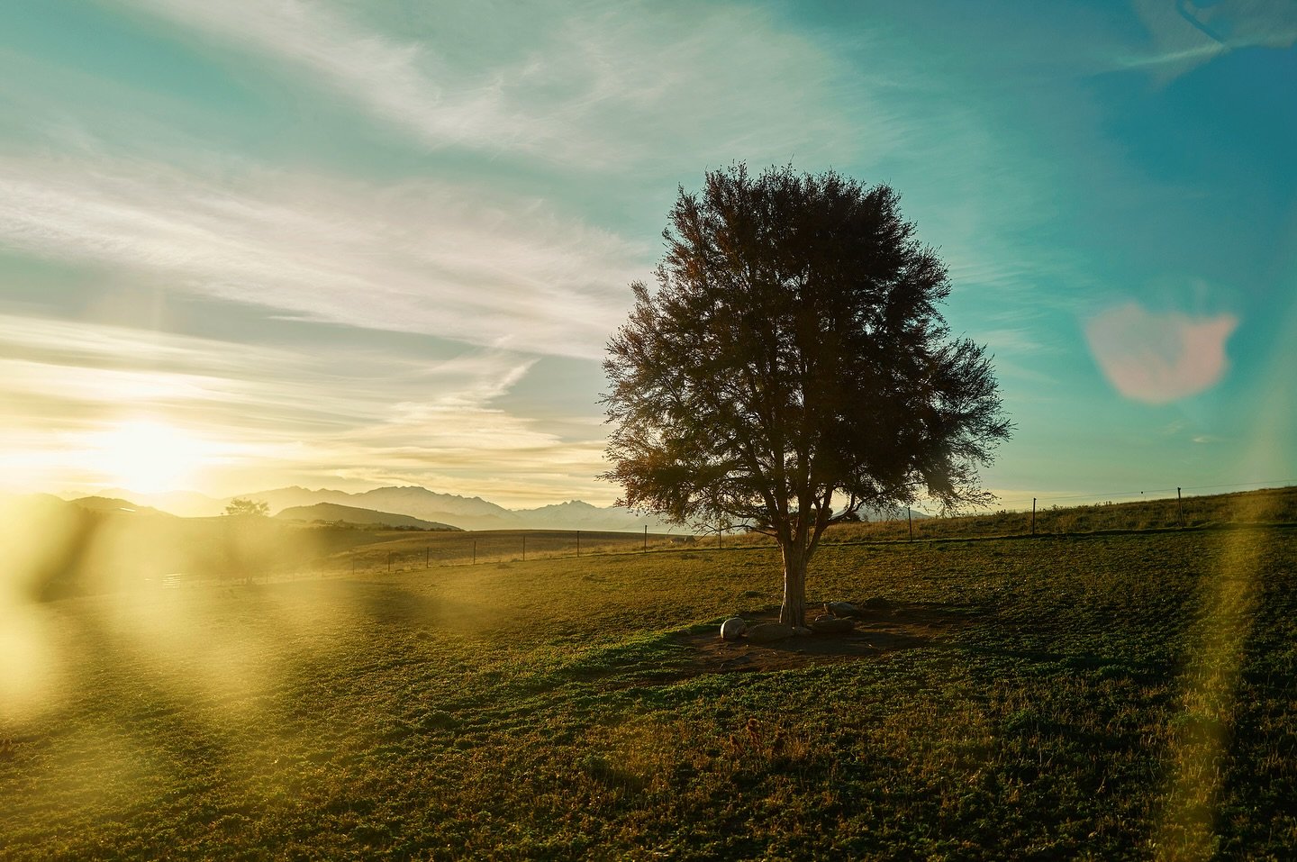 Central Otago winter sunsets. Magical. Love shooting backlit frames. Flares from the perfectly dirty window of the truck. From a shoot with @orlycreativemedia  #landscapephotography #sunset #nz @_idc_photography