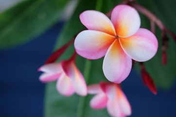 Kindness:  Our Core Value