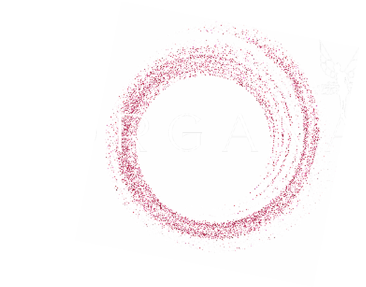 Morgana - Italian style Trattoria &amp; Wine Bar