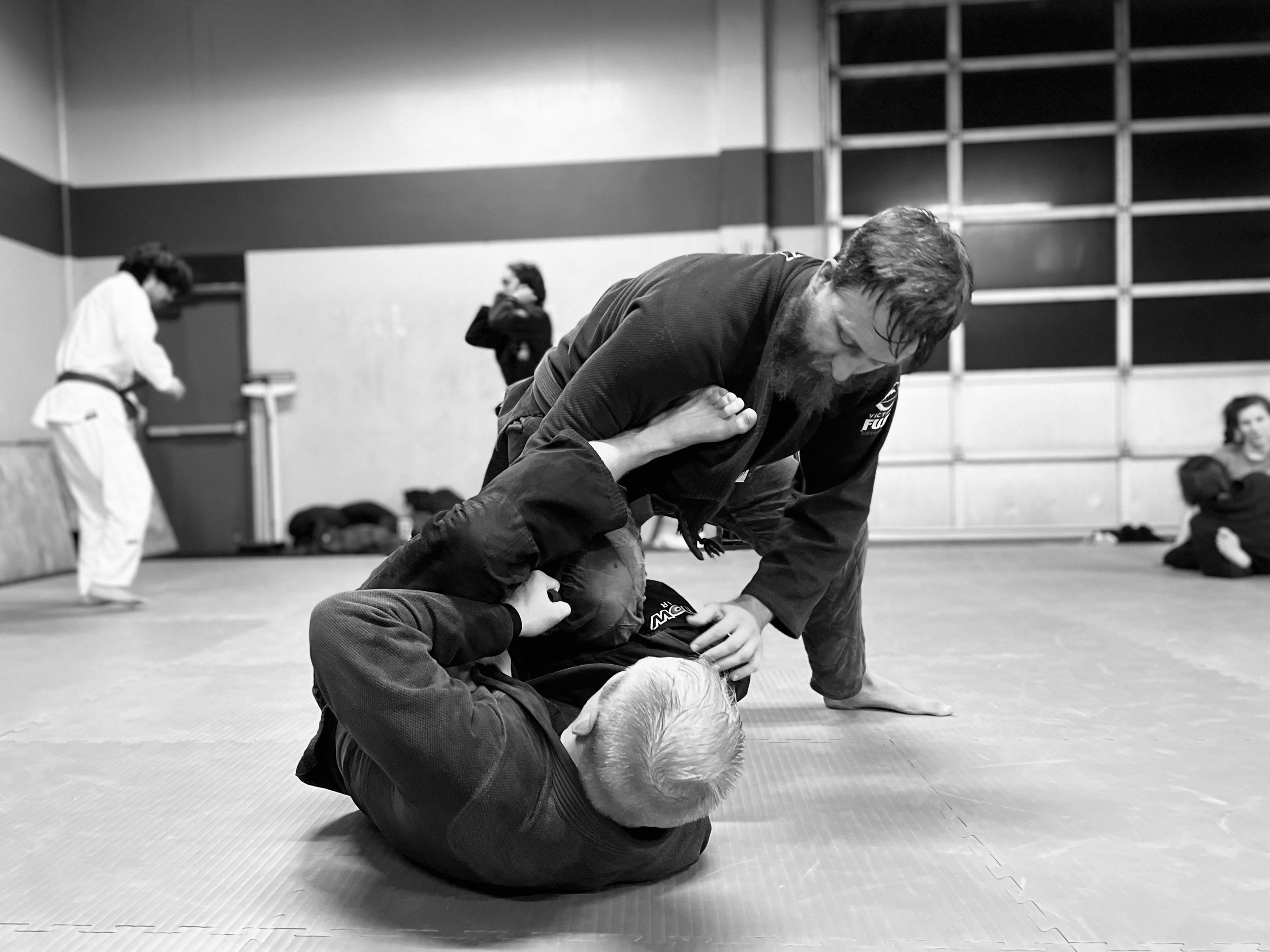 Adult Program - Grey Wolf Brazilian Jiu-Jitsu - Martial Arts School in  Eugene