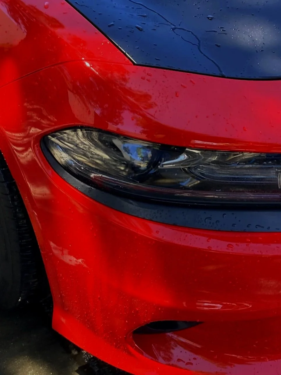 Close-up of a red sports car's front left side, showing the headlight, hood, and water droplets on the surface.