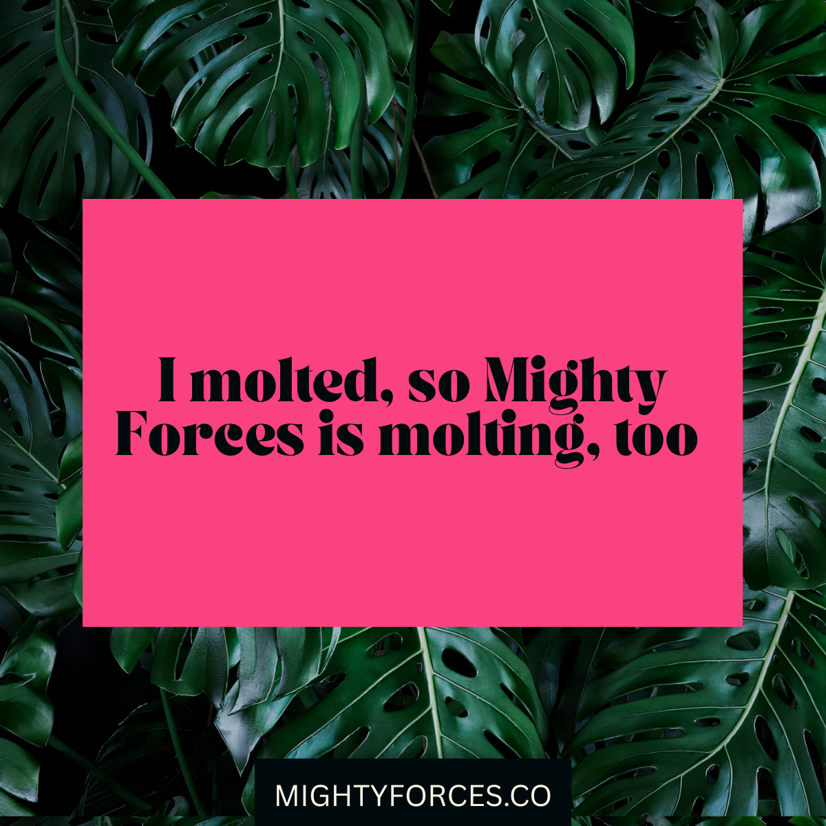 I molted —&nbsp;so Mighty Forces is molting, too
