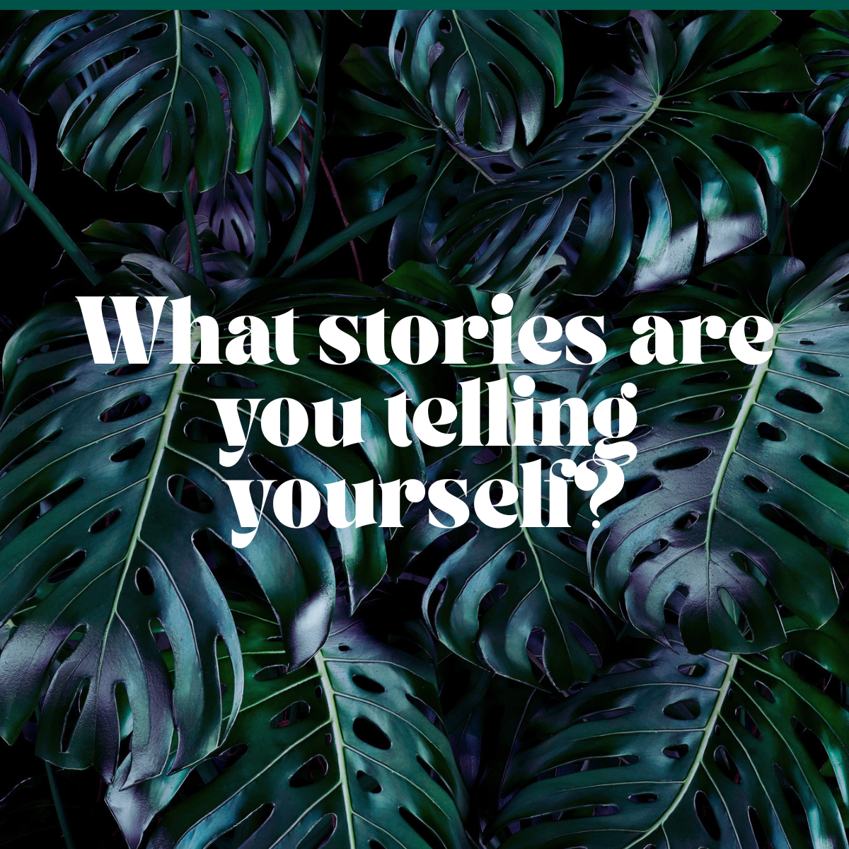 What stories are you telling yourself?