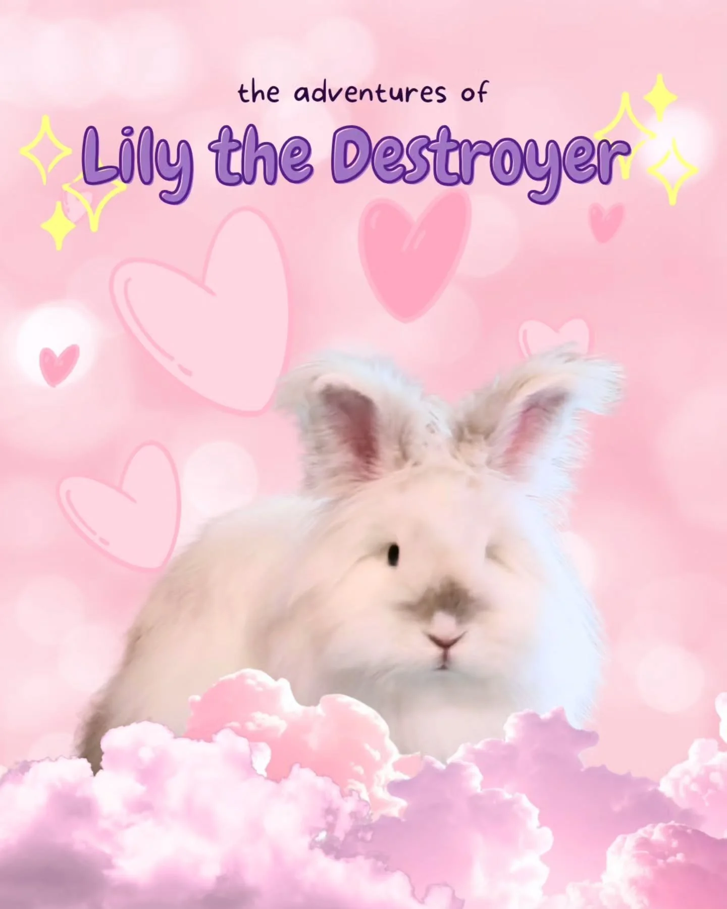 Lily, my sweet little demon 💖

god knows how much i've had to spend because of her antics, but i love her to bits anyways ✨

she gnaws through everything; books, wires, furniture, carpets, walls, doors, even grocery bags??? 
she truly never ceases t