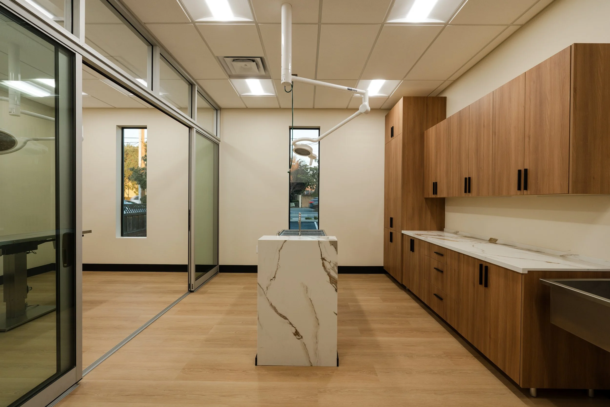 Animal_Medical_Clinic (3).jpg