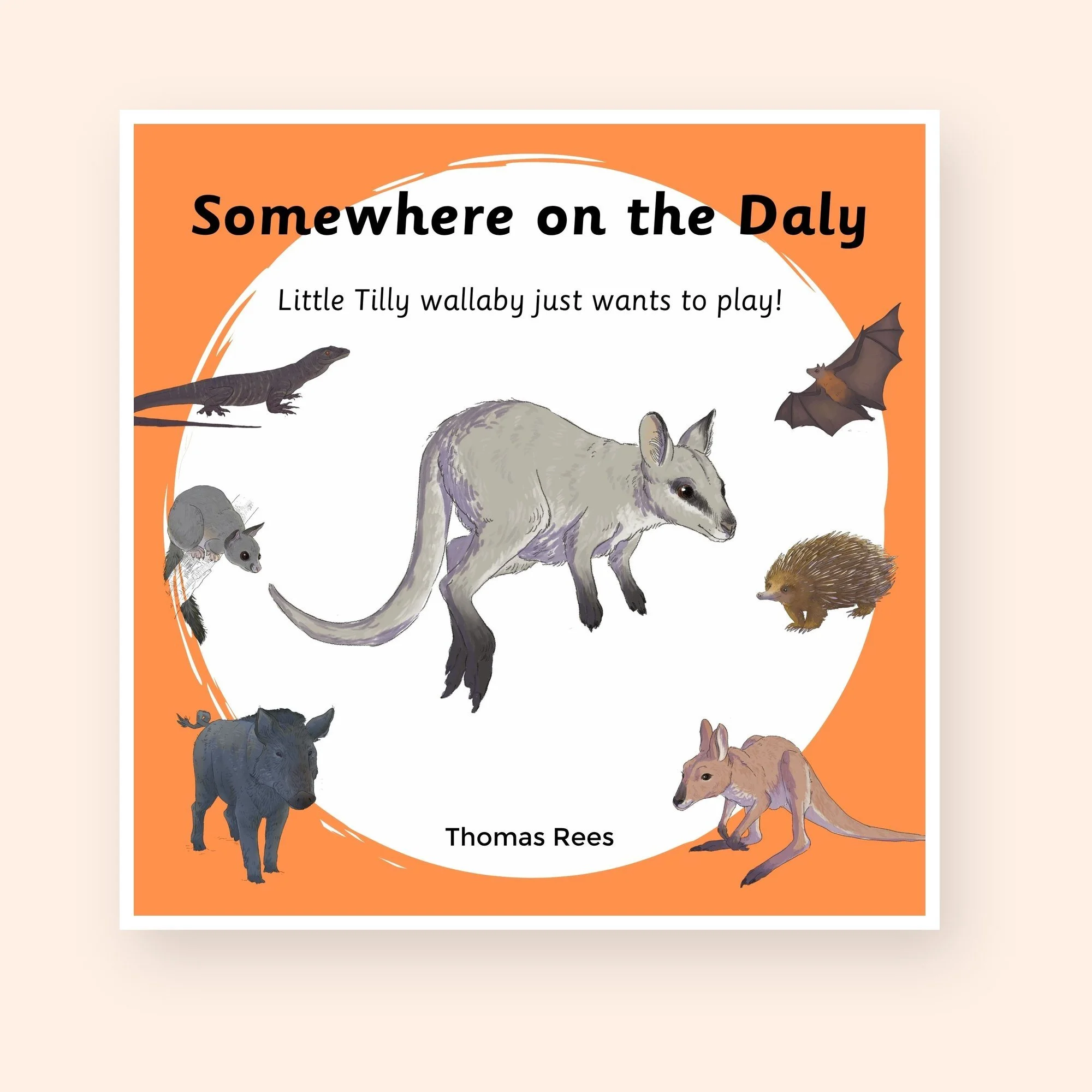 Little Tilly Wallaby just wants to play! (Book 2)