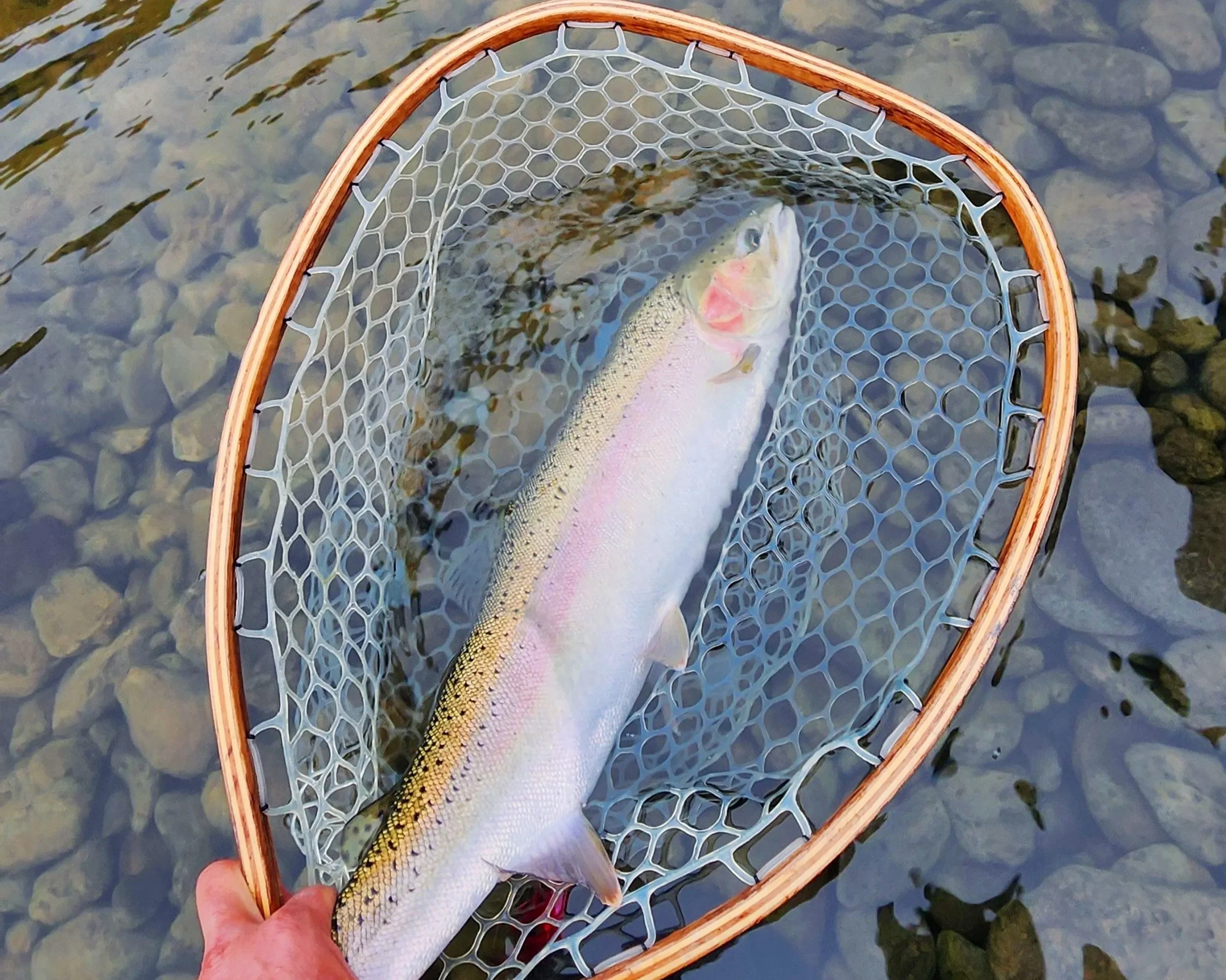 End of a great season! 