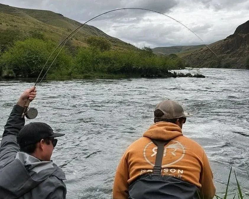 Small Water and Big Bugs