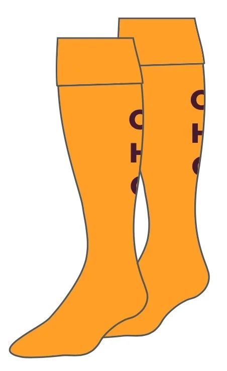 gold socks picture.jpg