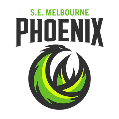 sem-phoenix-reverse.webp