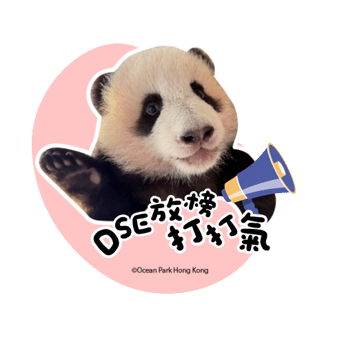 2025 Panda Whatsapp Sticker_DSE.gif