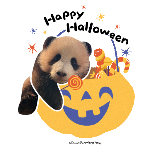  2025 Panda Whatsapp Sticker_Happy Halloween.gif