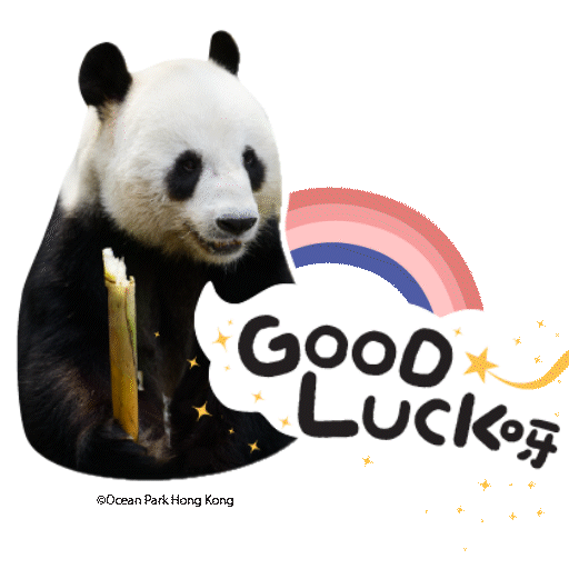 2025 Panda Whatsapp Sticker_GoodLuck.gif