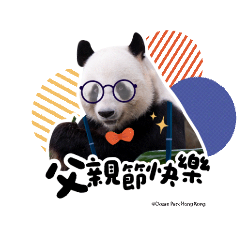 2025 Panda Whatsapp Sticker_Happy FathersDay.gif