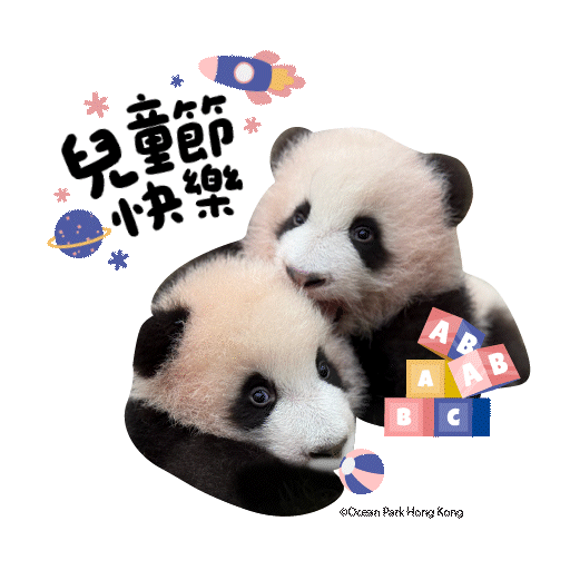 2025 Panda Whatsapp Sticker_ChildrenDay.gif