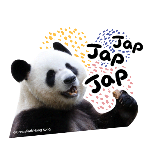 2025 Panda Whatsapp Sticker_Japjapjap.gif
