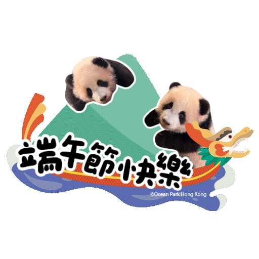 2025 Panda Whatsapp Sticker_DragonBoatFest.gif