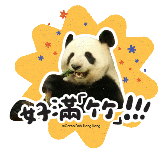 2025 Panda Whatsapp Sticker_好滿竹.gif