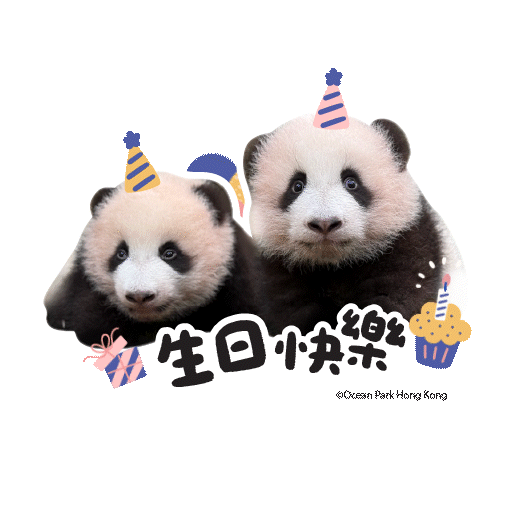 2025 Panda Whatsapp Sticker_Happy Bday.gif