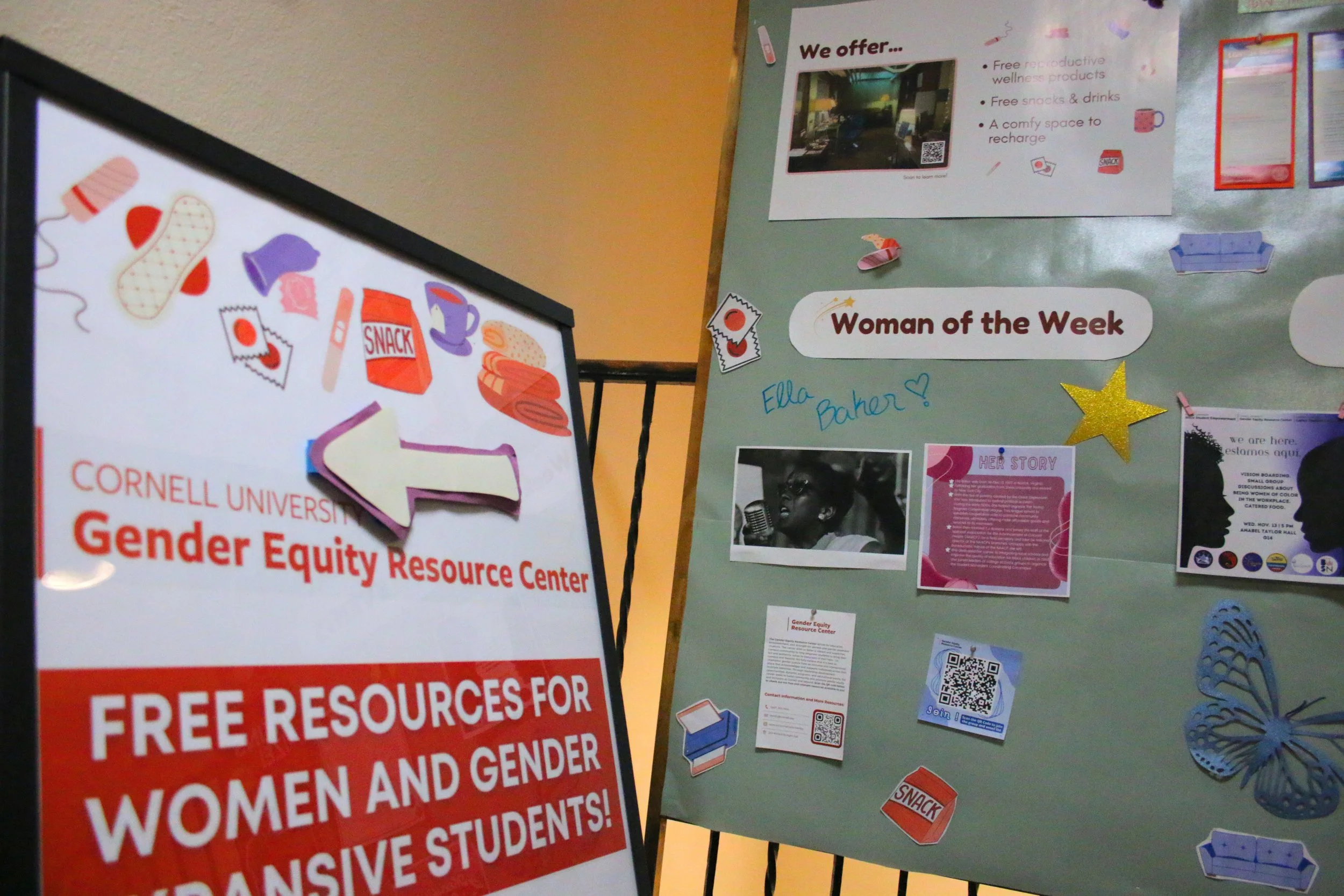 It's a Woman's World: The Unsung Truth of Women's Pain and Healthcare