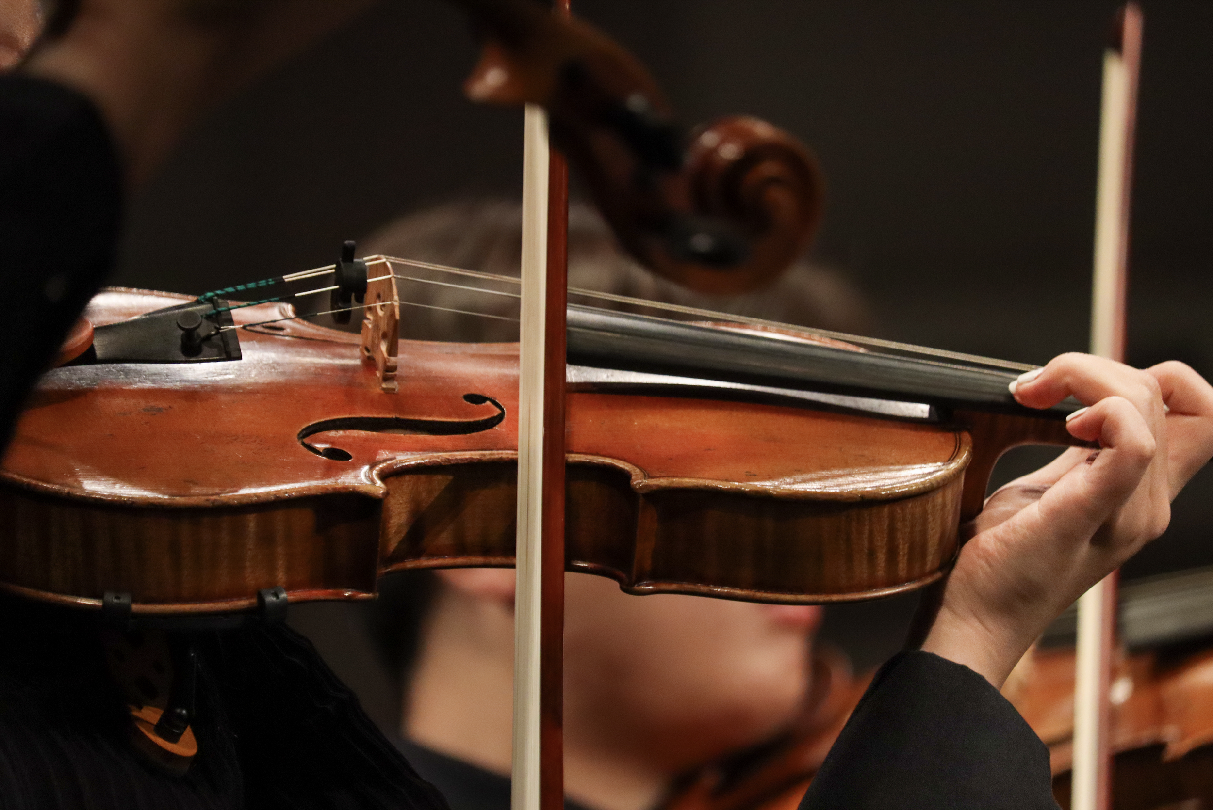 A deep dive into the Mozart Effect
