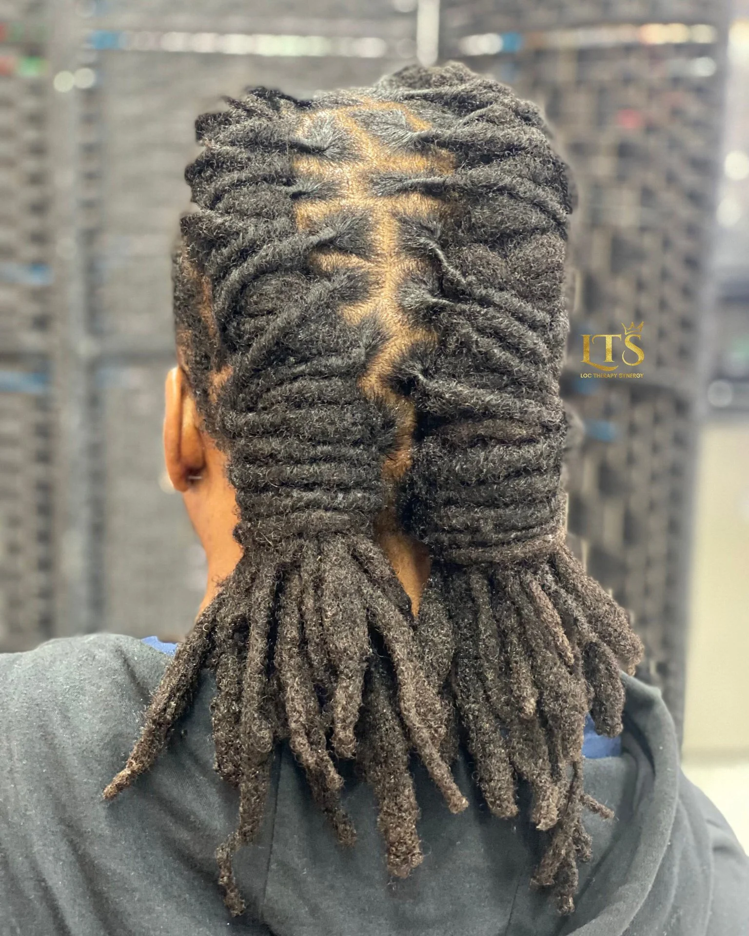 Emperor Braid Style 07-04.jpg