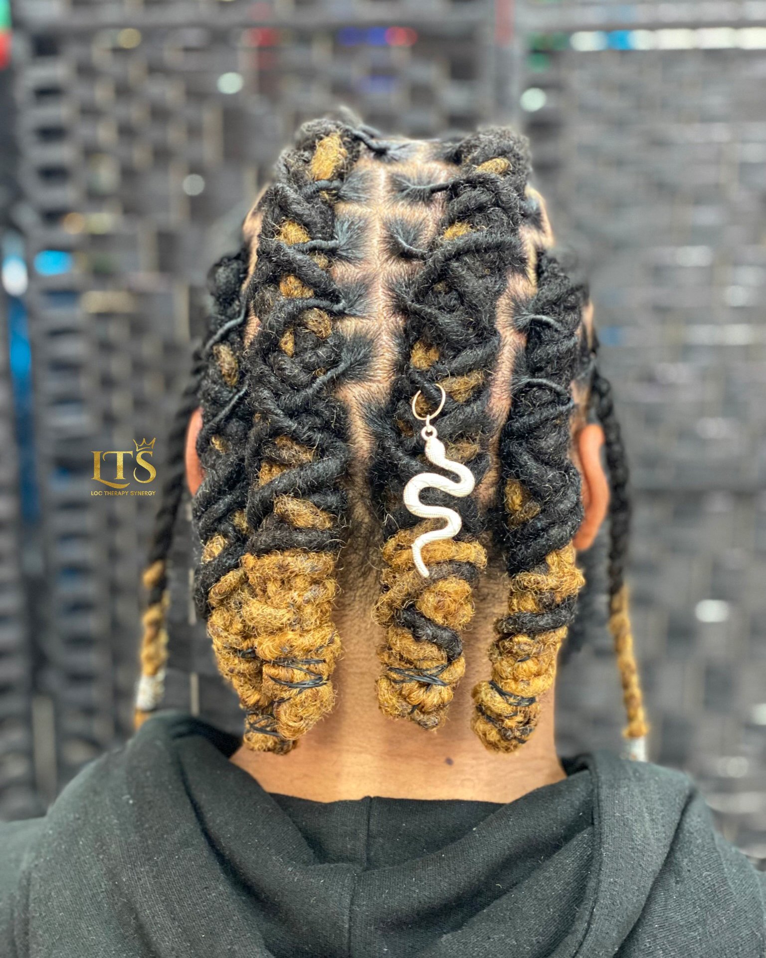 Emperor Braid Style 05-03.jpg