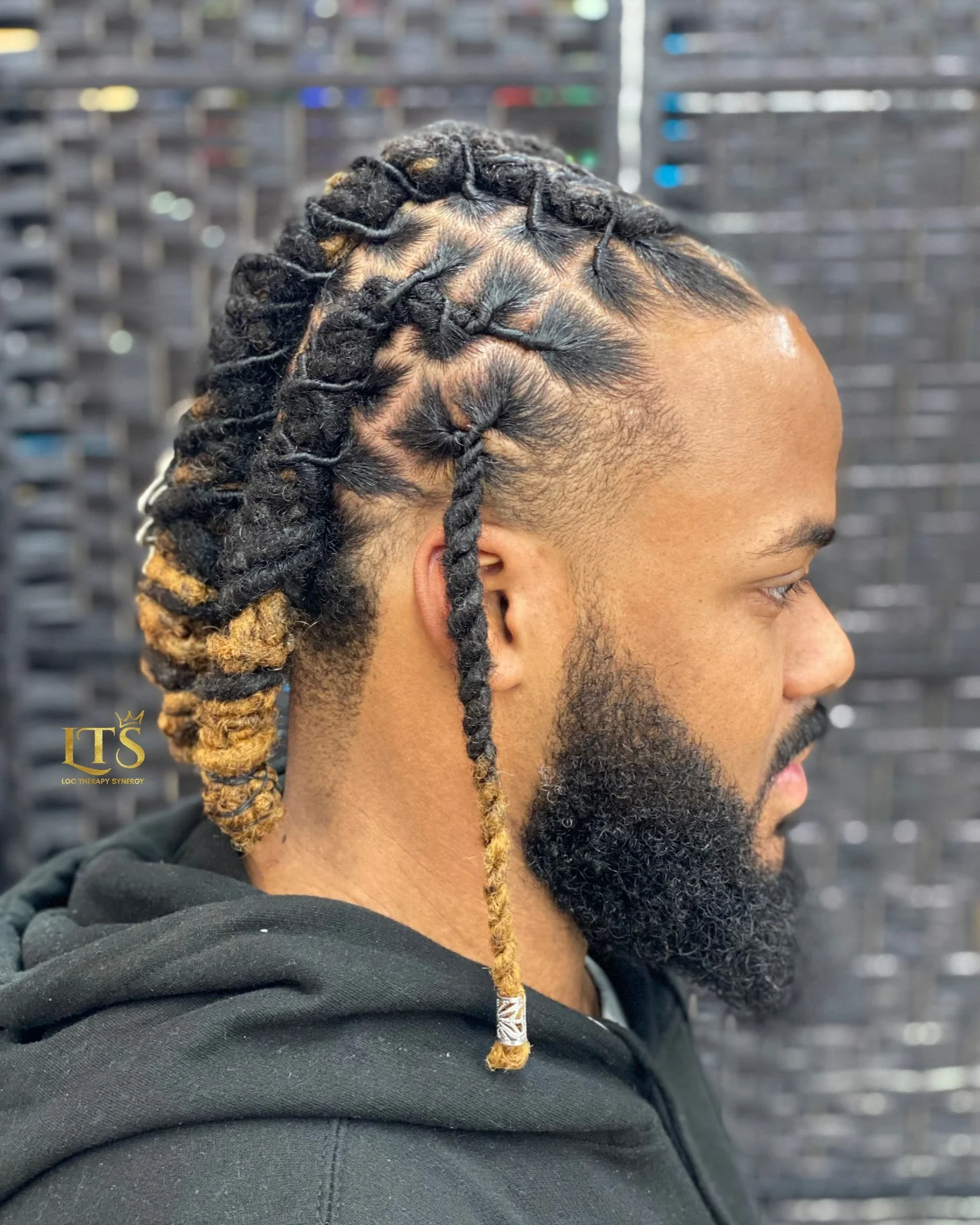 Emperor Braid Style 05-02.jpg