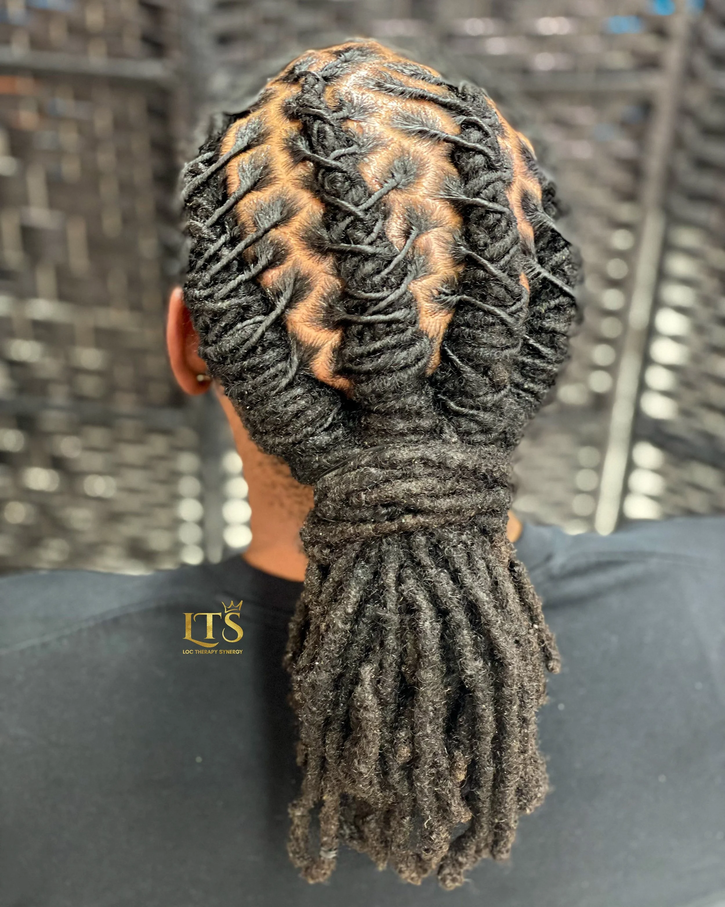 Emperor Braid Style 01-02.jpg