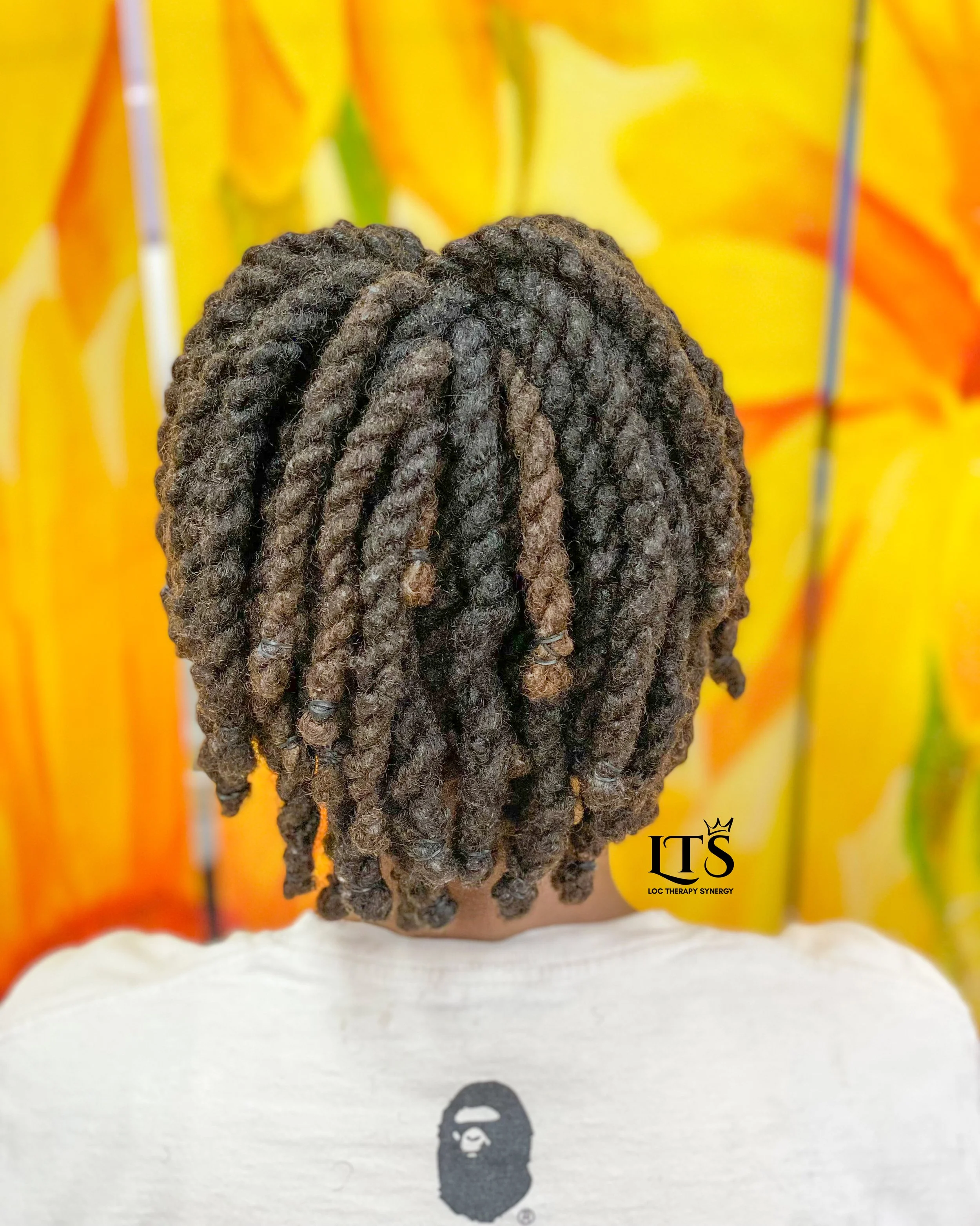 Empress Double Strand Twists with Ponytail 03-03.jpg