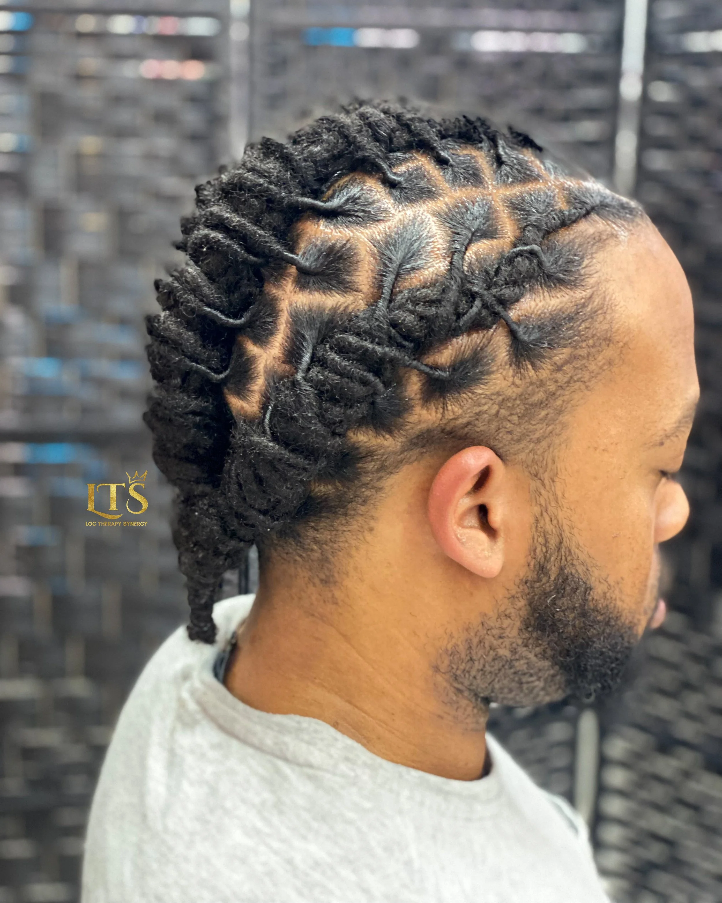 Emperor Braid Style-French Twist 03-01.jpg