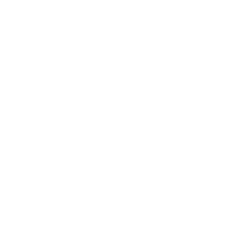 Year 8 Career Exploration — VIC VICE
