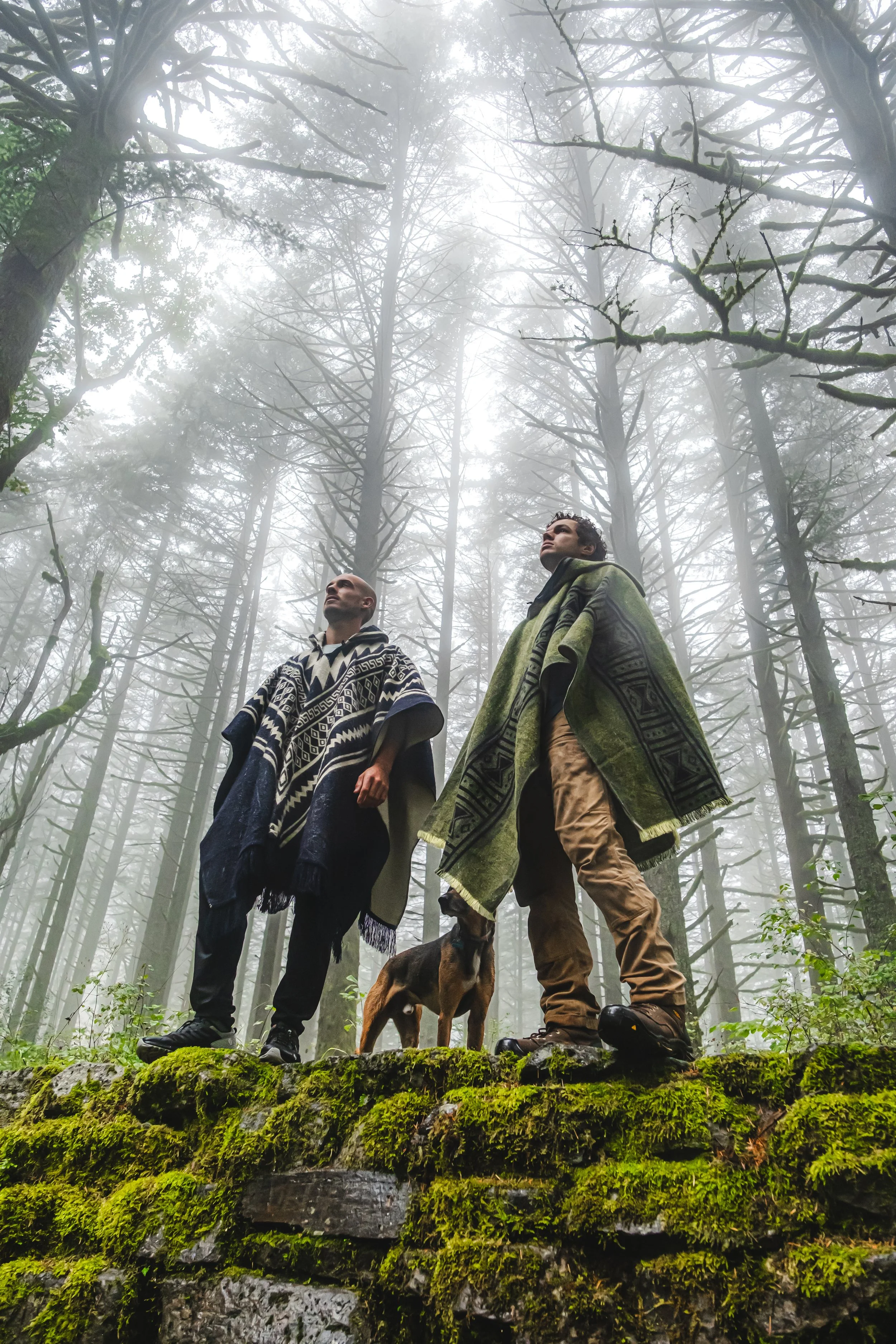 Two men standing on a moss-covered stone wall in a foggy forest, accompanied by a dog.