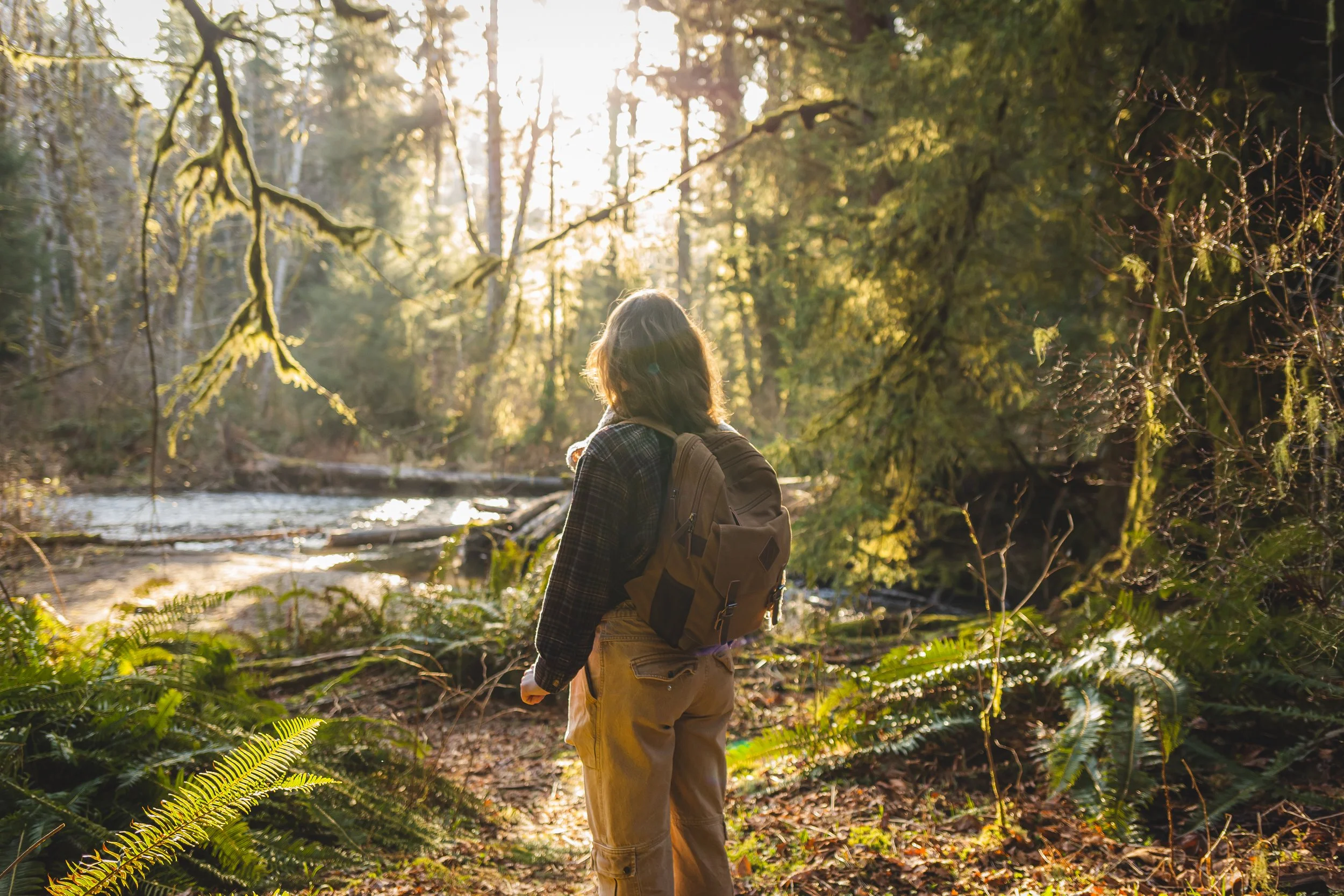 A person with a backpack standing on a trail in a forest, with sunlight filtering through trees, near a river.