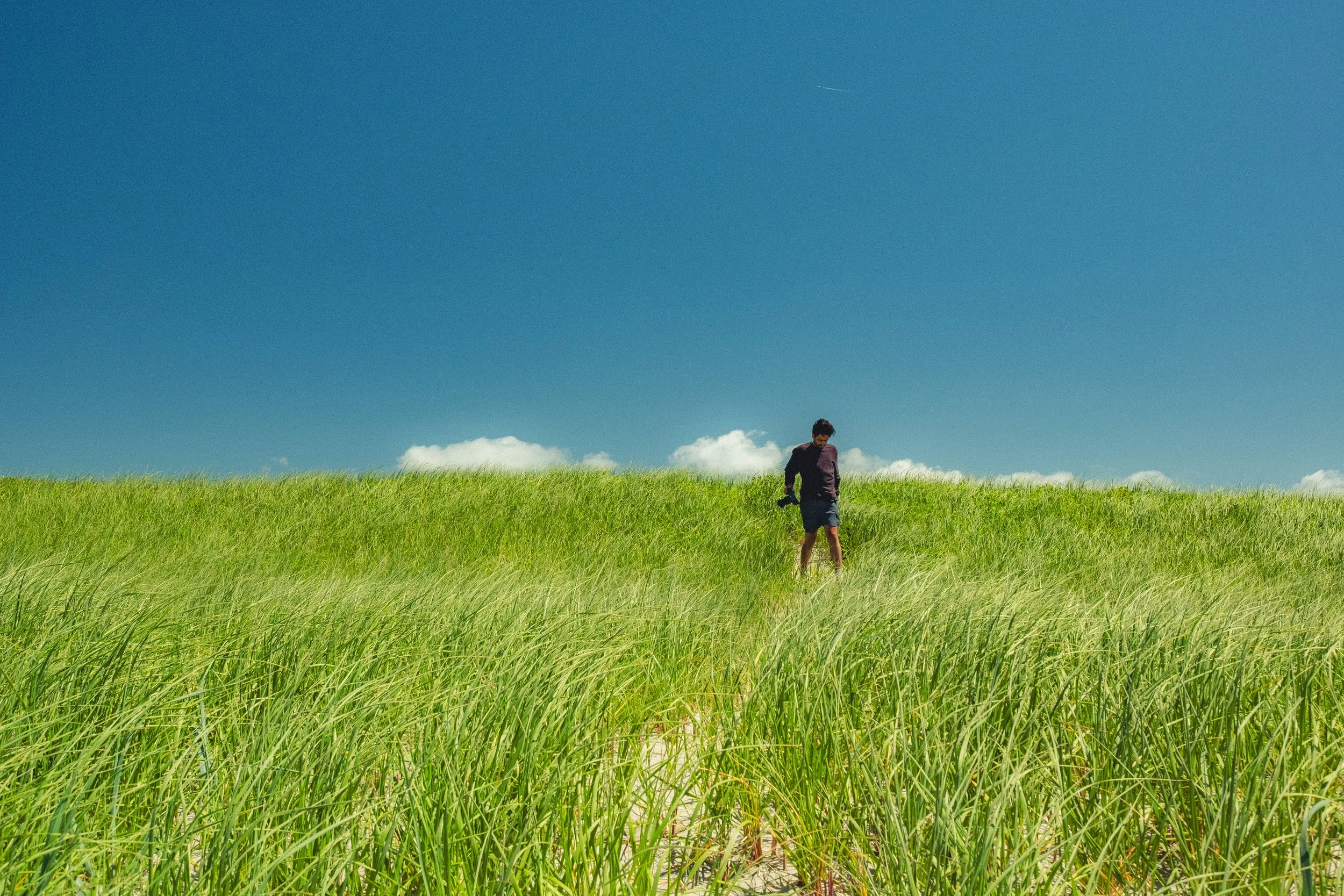 A person walking through a lush green grassy field under a clear blue sky with scattered clouds.