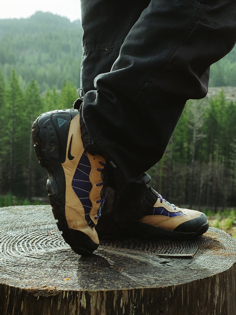 Close-up of a person wearing hiking shoes stepping on a tree stump in a forest with green trees in the background.