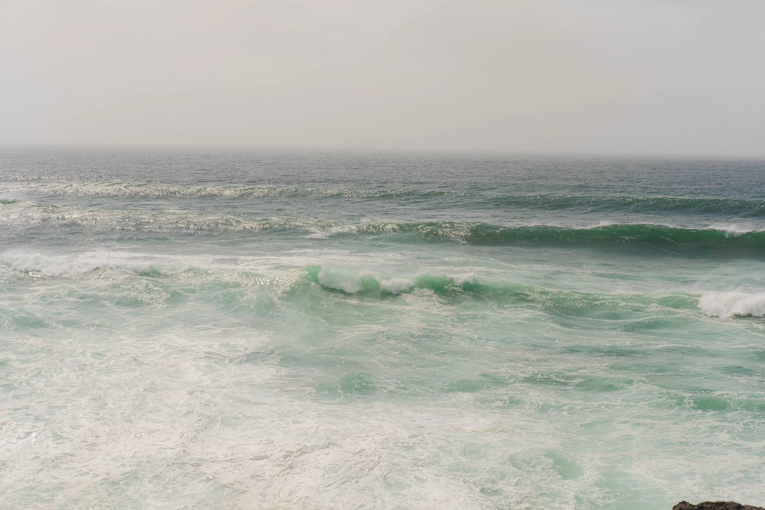 DSCF3594.jpg
