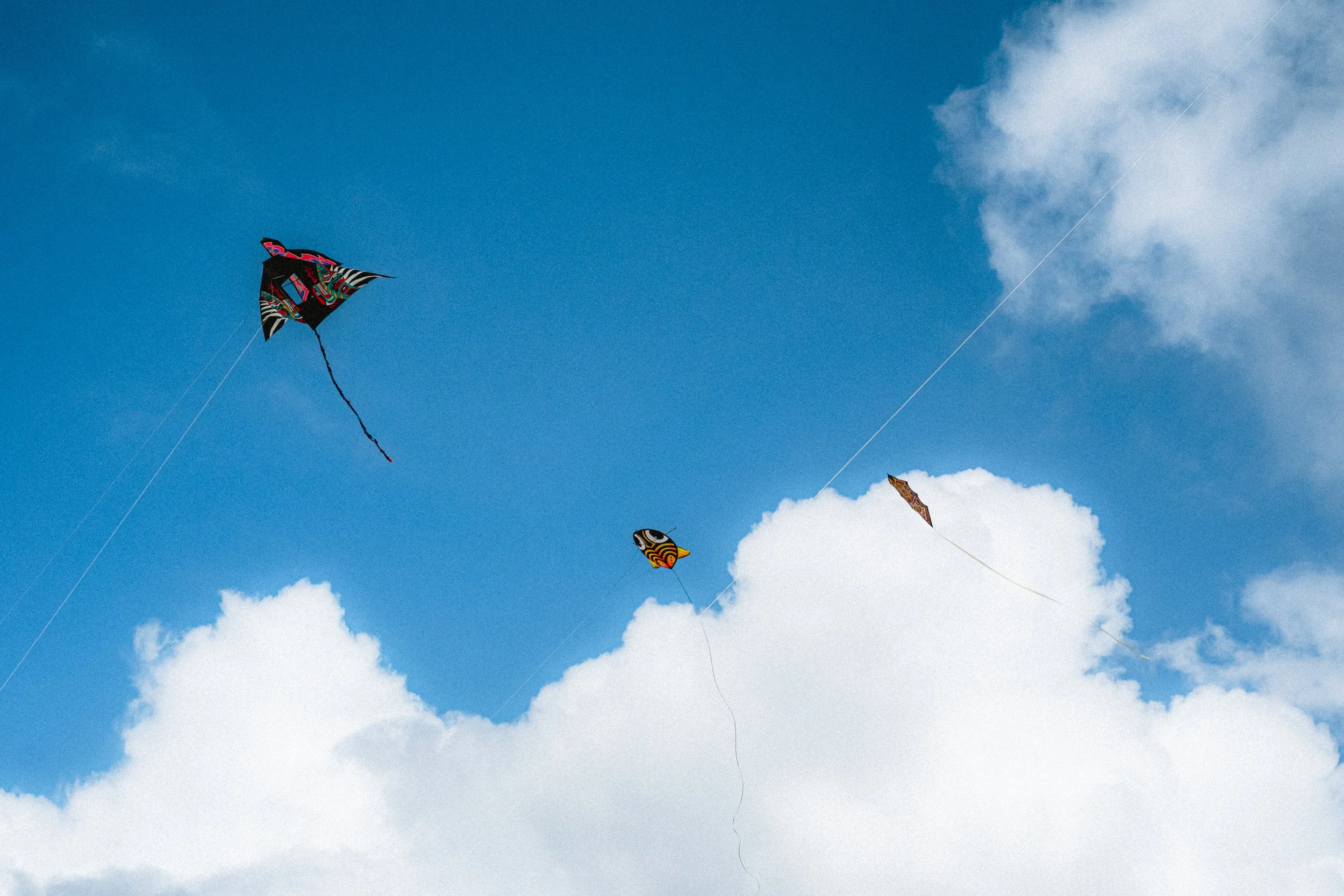 Several colorful kites flying in a blue sky with scattered white clouds.