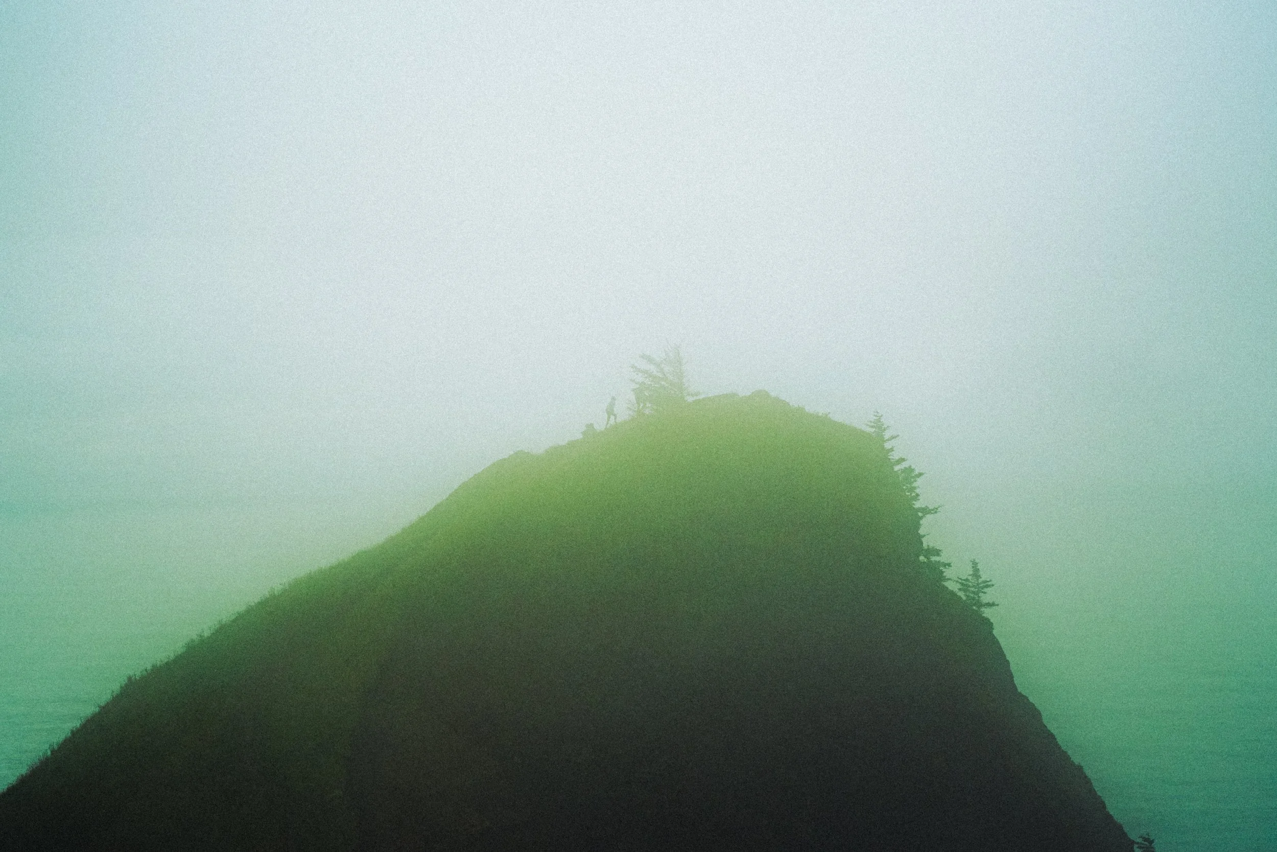 A foggy mountain with a person standing on a small ledge surrounded by trees.
