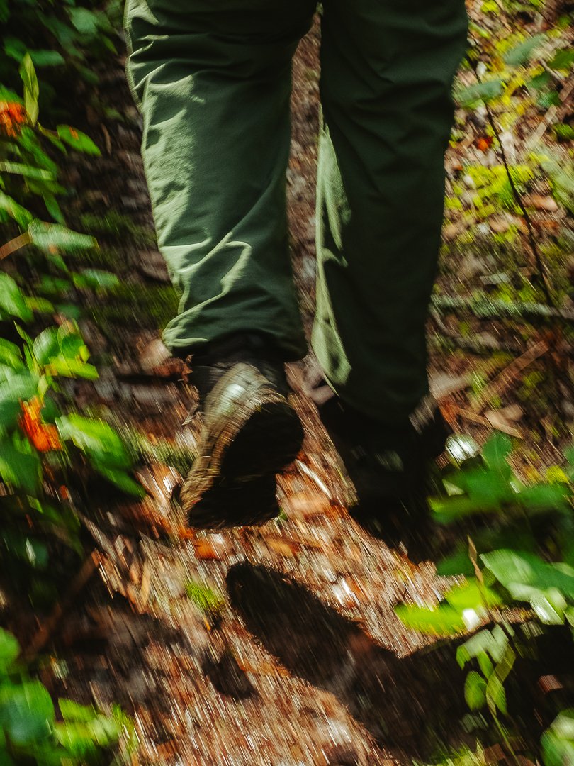 Close-up of a person walking on a forest trail, showing their legs and hiking boots, surrounded by green foliage and fallen leaves.
