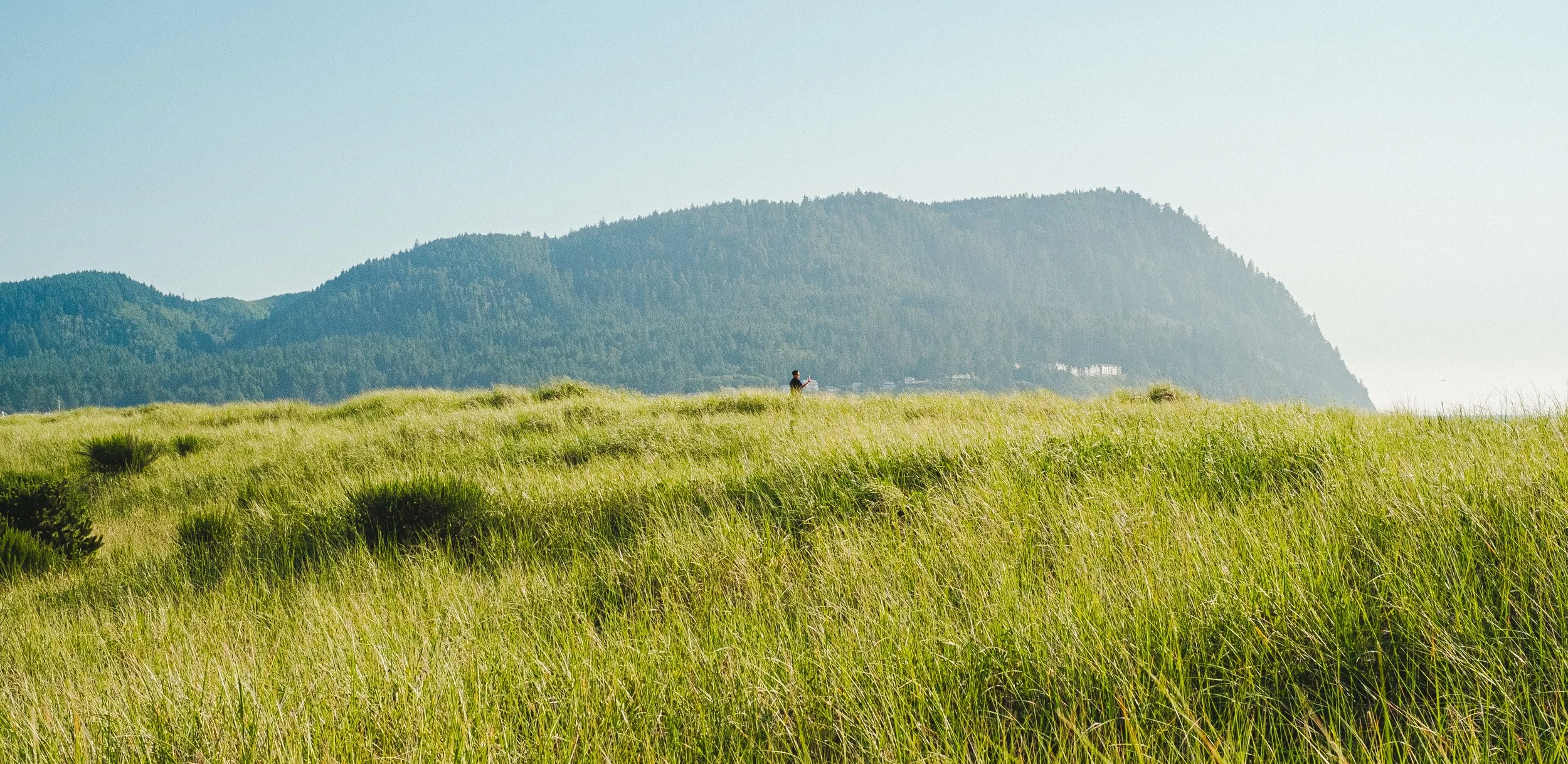 A person standing in a grassy field with mountains in the background.