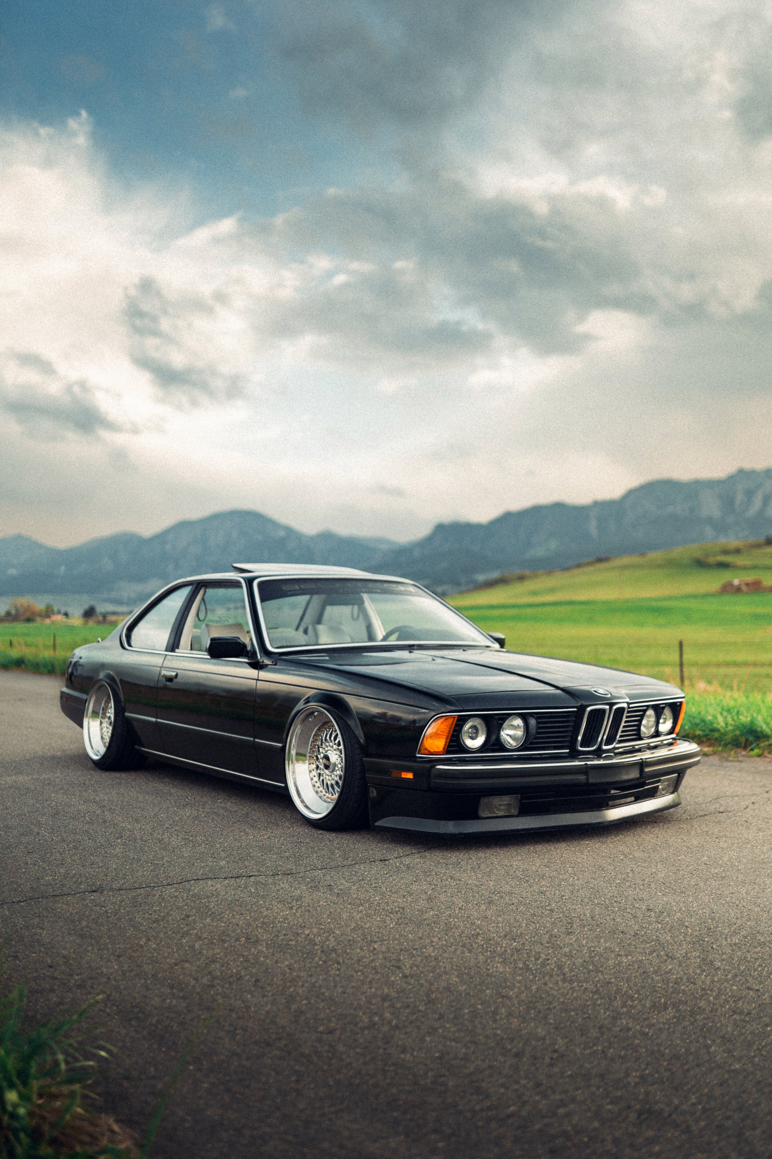 A7309484-Enhanced-NR copy.JPG