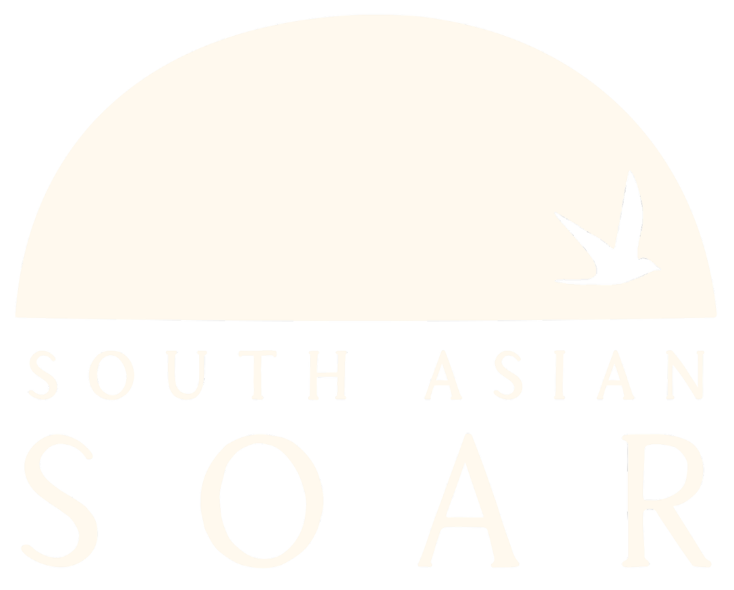 SOUTH ASIAN SOAR