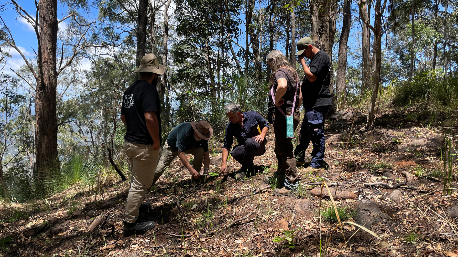 Boorabee songline project page (7).png