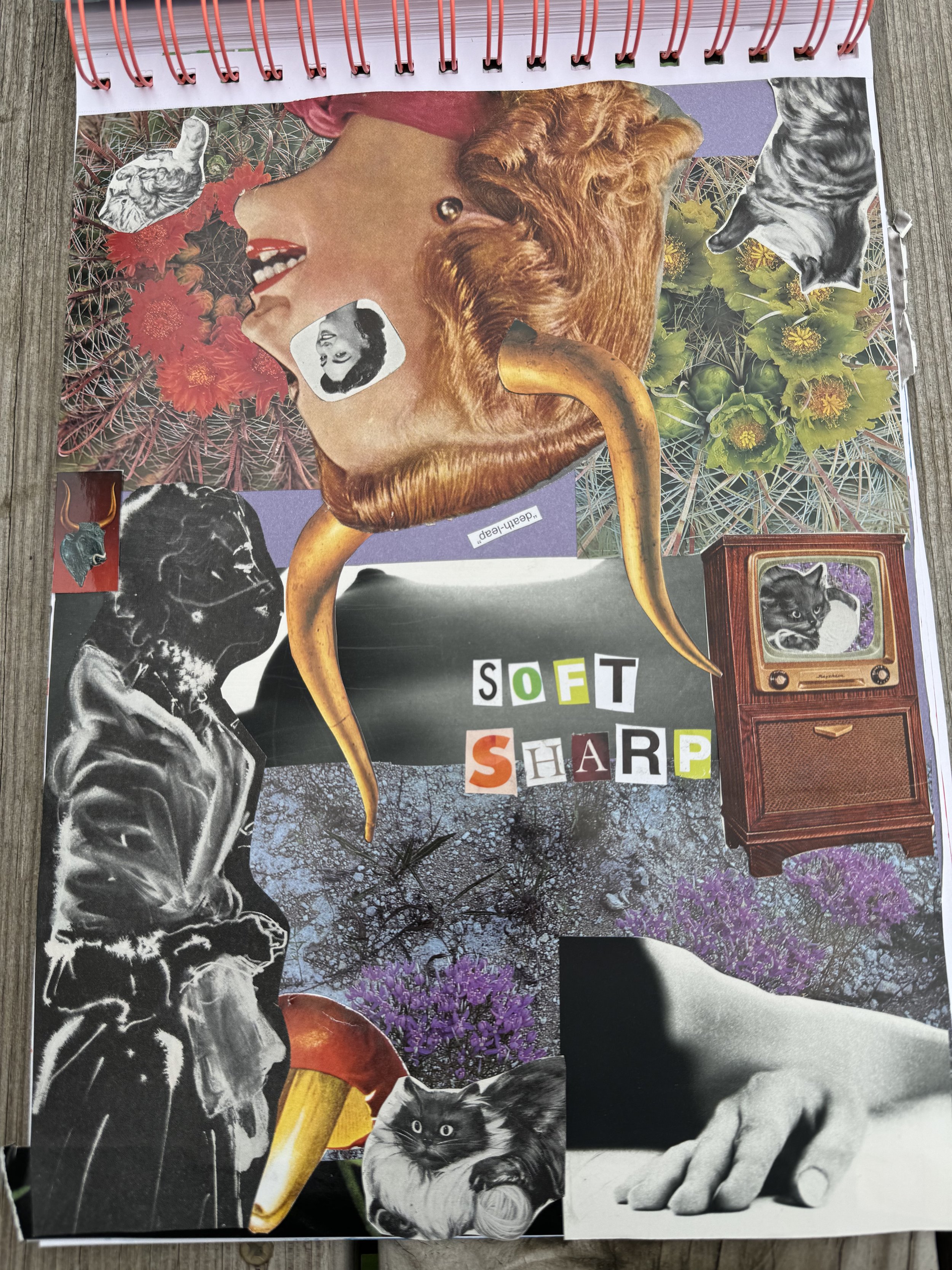 "Soft Sharp" 11x14 collage 2025