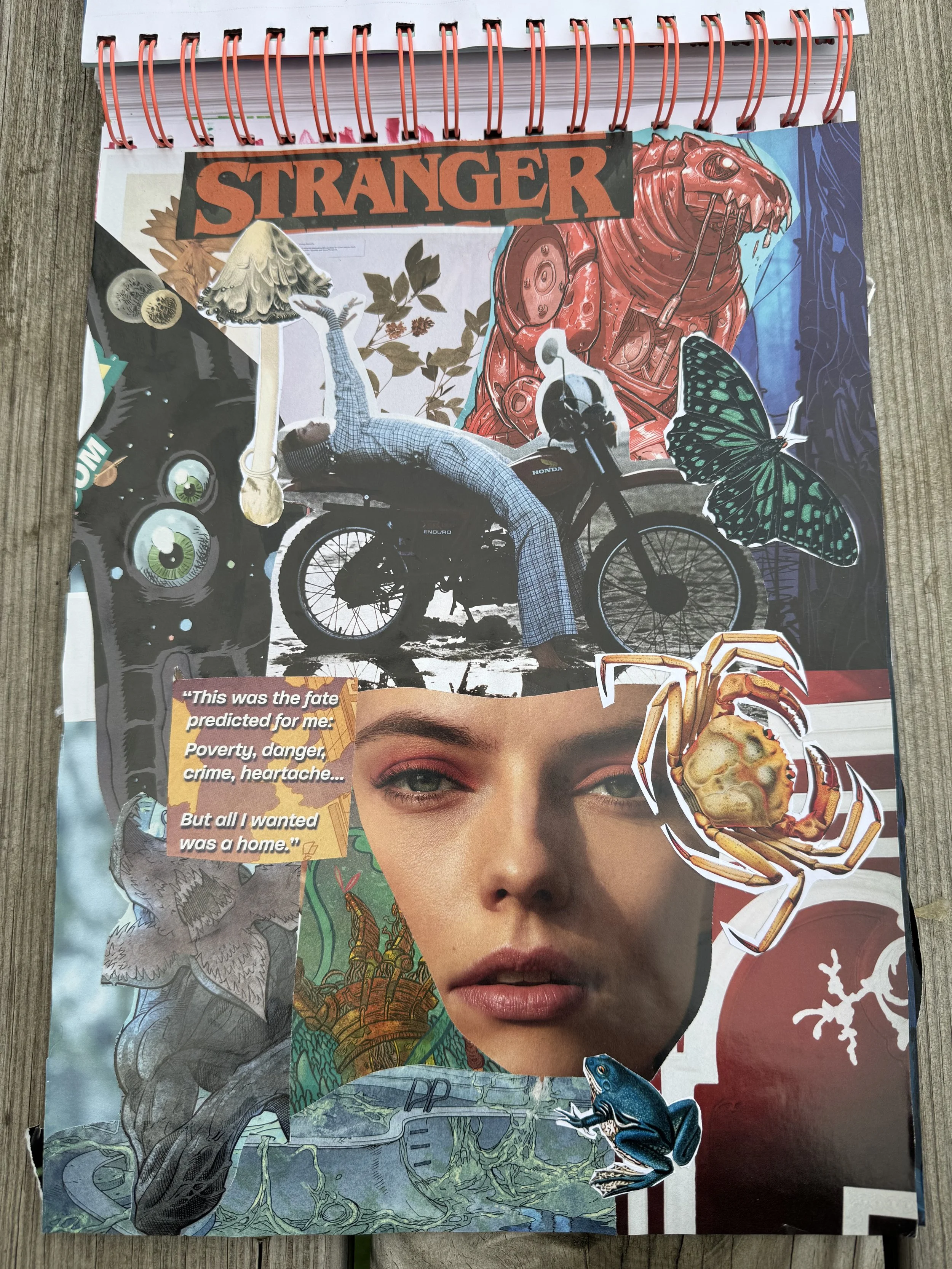 "Stranger" 11x14 collage 2025