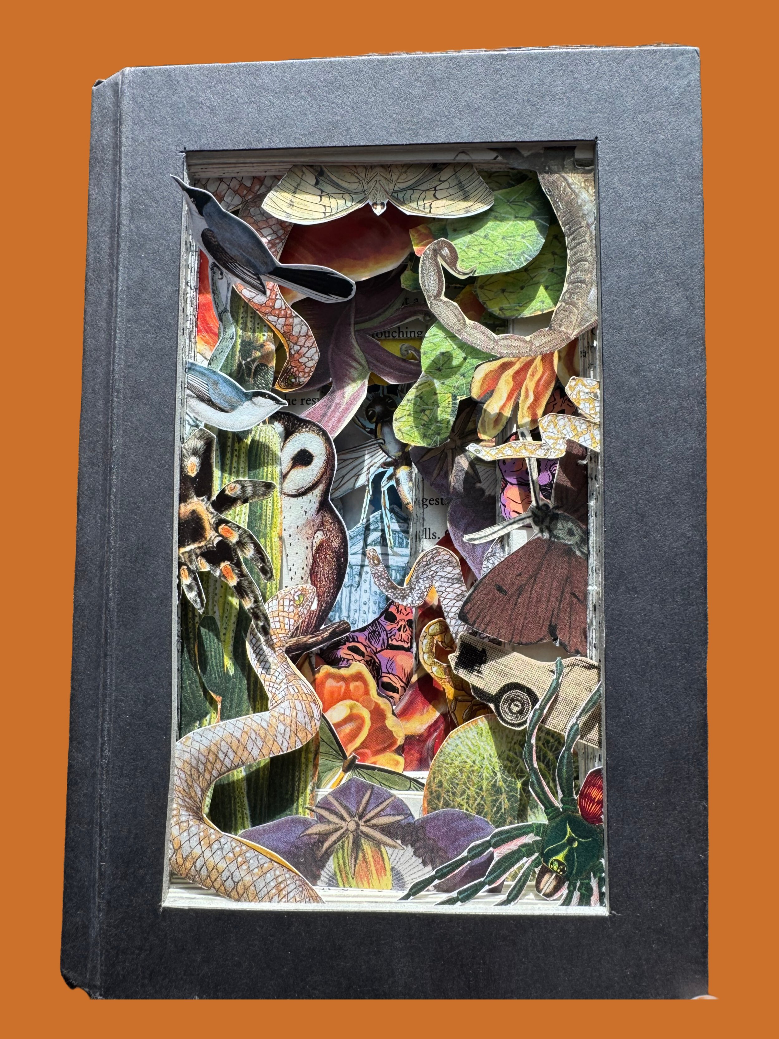 Remove background project.jpeg