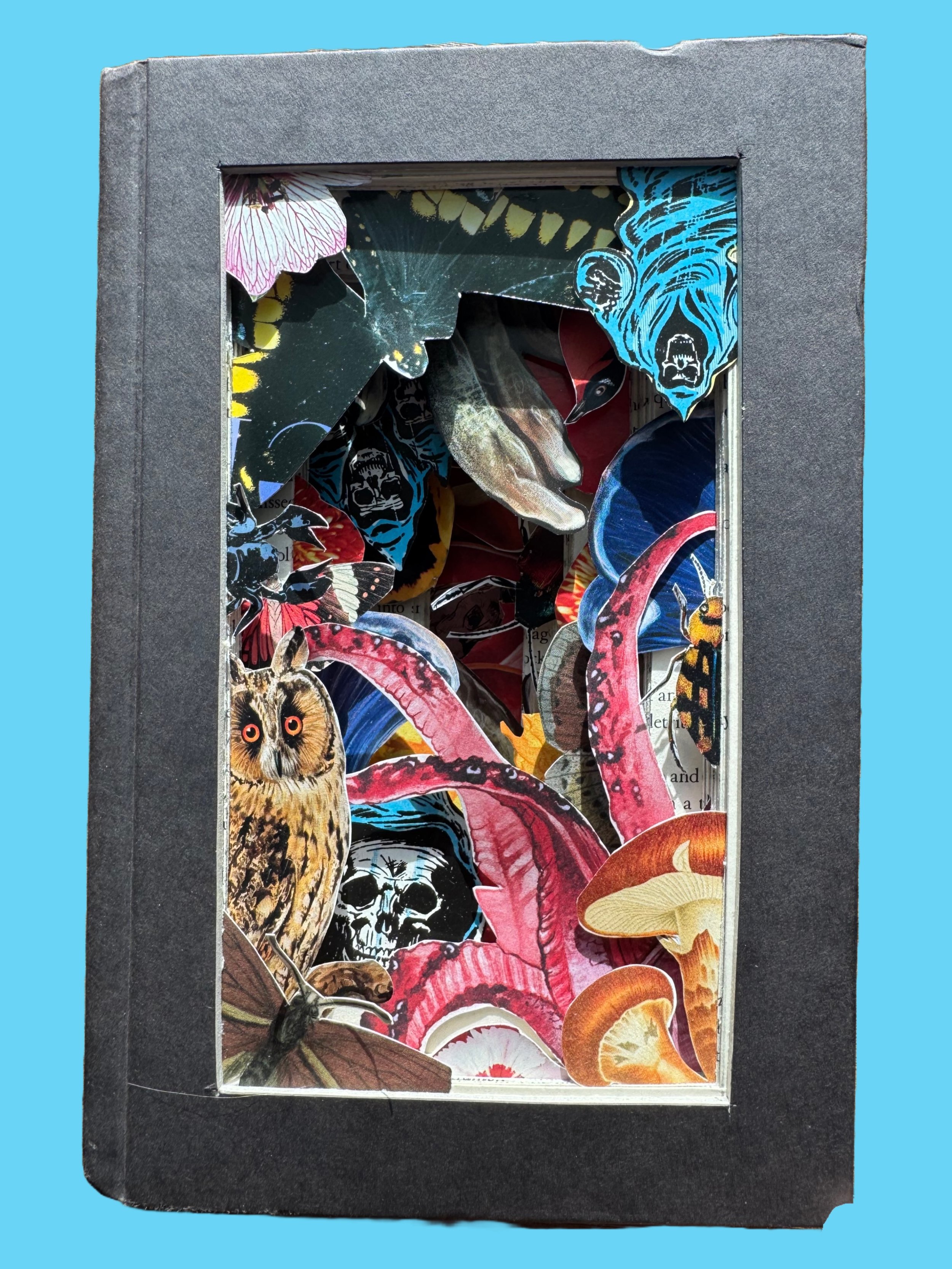 Remove background project.png