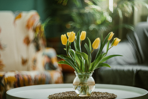 Spring Home Updates That Make a Big Impact