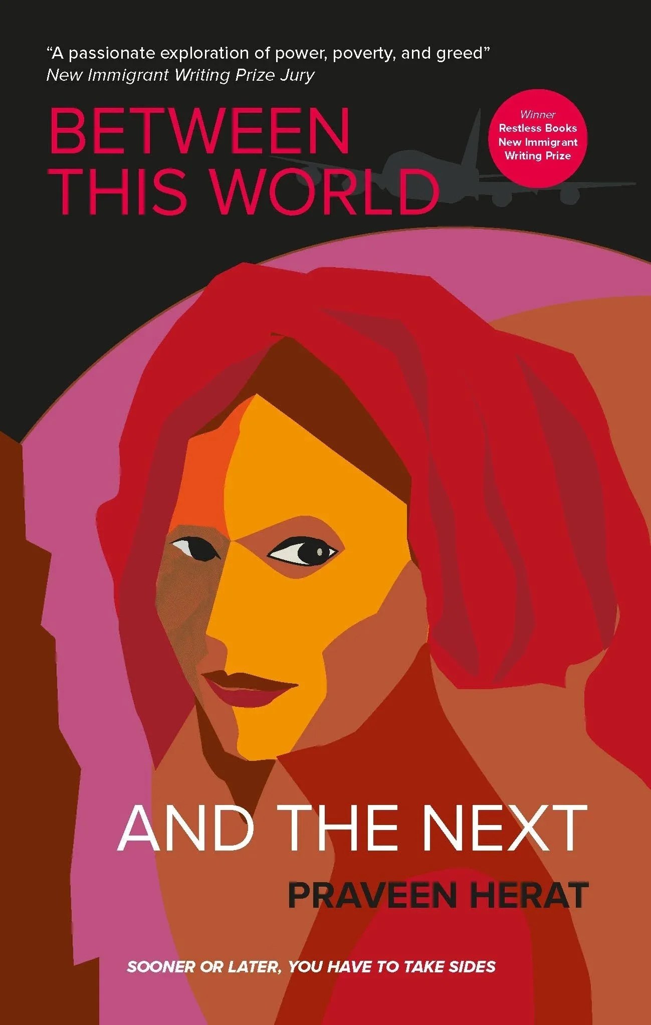 Cover for Between This World and The Next by Praveen Herat